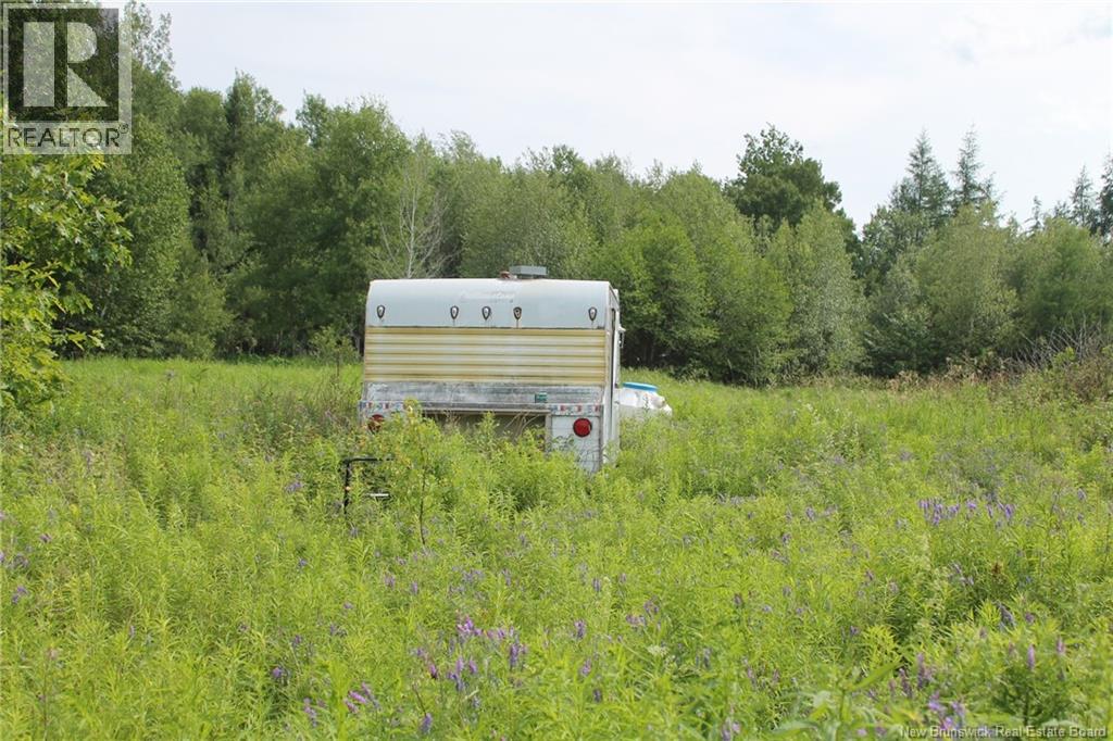 707 Fishing Club Road, Bass River, New Brunswick  E4T 1H3 - Photo 5 - NB143144