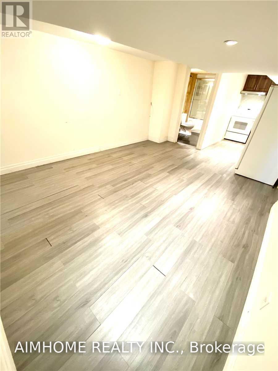 432 Fernleigh (Bsmt) Circle S, Richmond Hill, Ontario  L4C 1E6 - Photo 14 - N13636784