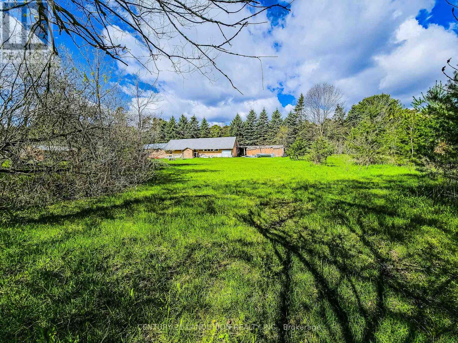 4192 Vivian Road, Whitchurch-Stouffville, Ontario  L0G 1E0 - Photo 6 - N13636848