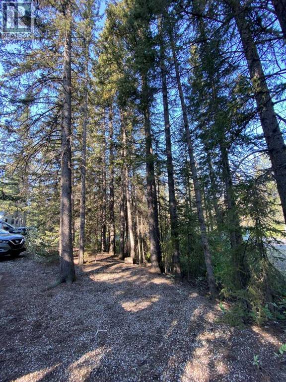 270-5230, Highway 27 Timber Ridge, Sundre, Alberta  T0M 1X0 - Photo 14 - A2253903