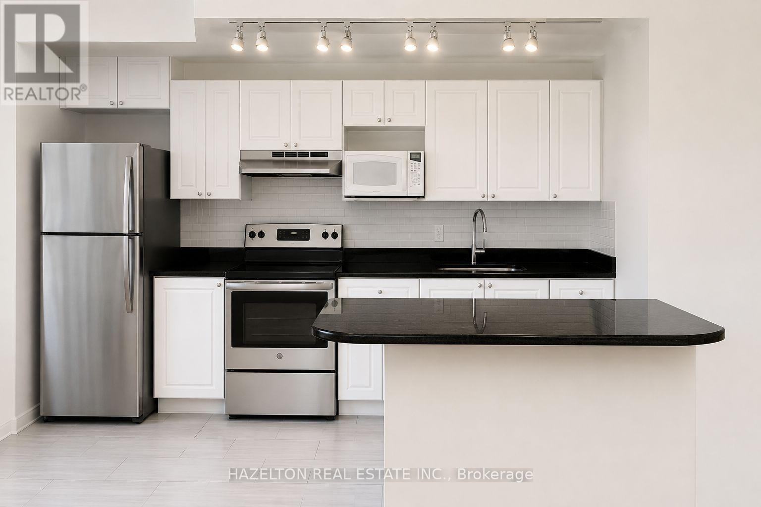302 - 4 Sherbourne Street N, Toronto, Ontario  M4W 2T1 - Photo 3 - C13636896