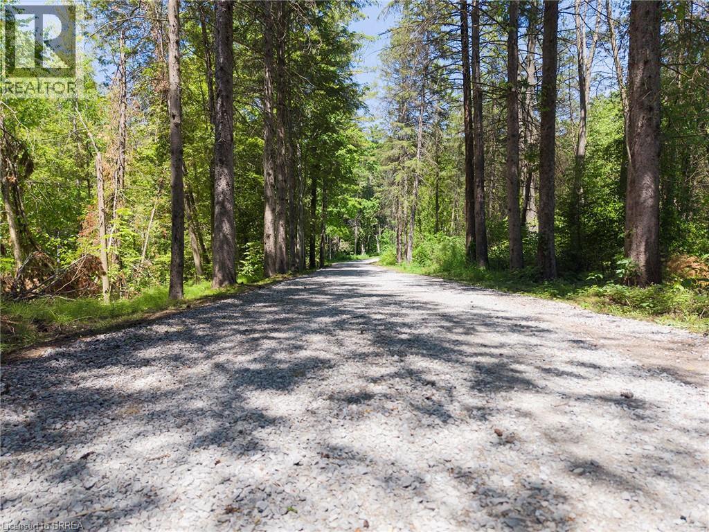 1521 Windham Road 19, Norfolk County, Ontario  N0E 1H0 - Photo 36 - 40852035
