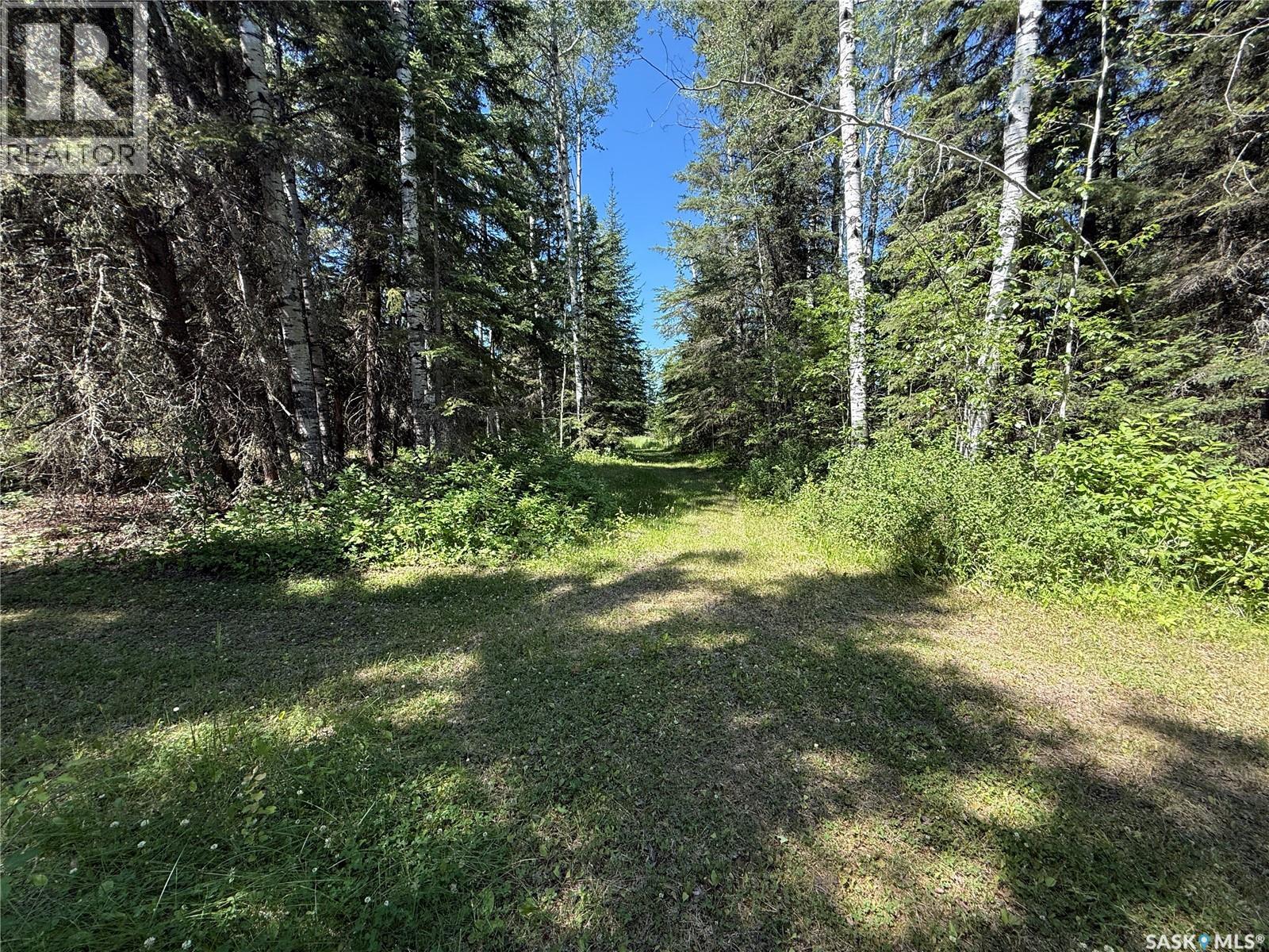 Rest A While Acreage, Paddockwood Rm No. 520, Saskatchewan  S0J 3E0 - Photo 8 - SK037344