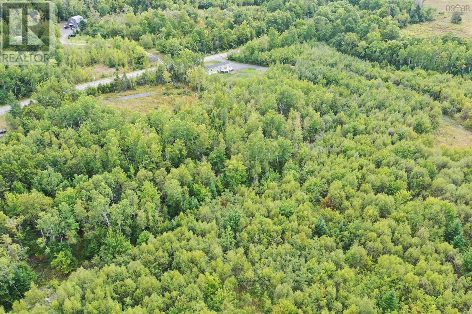 Lot 19 Acres+- Wallace Road, Hazel Glen, Nova Scotia  B0K 2A0 - Photo 1 - 202619442