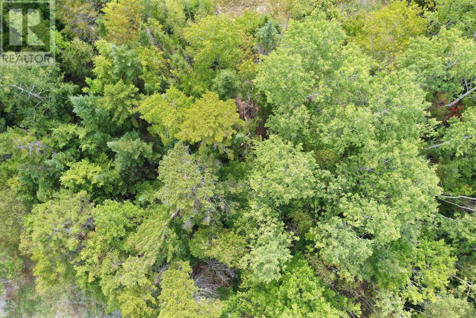 Lot 19 Acres+- Wallace Road, Hazel Glen, Nova Scotia  B0K 2A0 - Photo 19 - 202619442