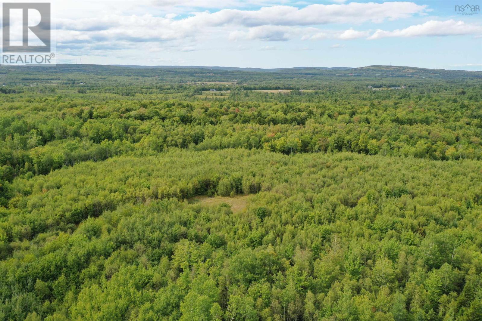 Lot 19 Acres+- Wallace Road, Hazel Glen, Nova Scotia  B0K 2A0 - Photo 16 - 202619442