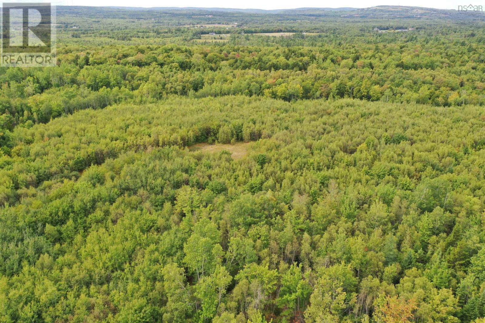 Lot 19 Acres+- Wallace Road, Hazel Glen, Nova Scotia  B0K 2A0 - Photo 14 - 202619442