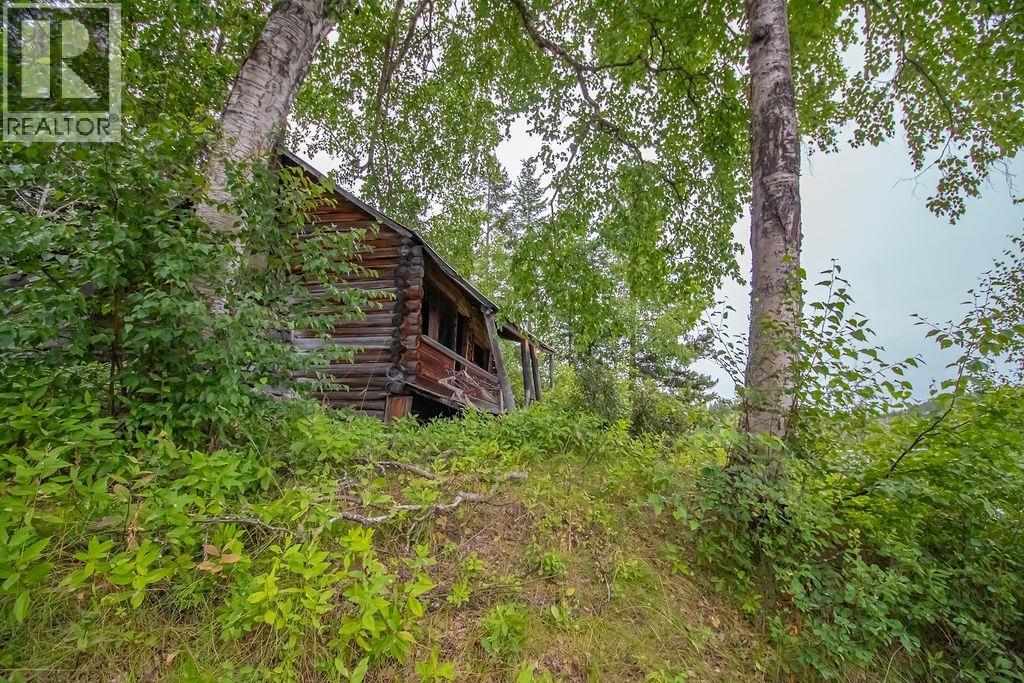 Dl 4341 Stuart Lake Island, Fort St. James, British Columbia  V0J 1P0 - Photo 13 - R3151236