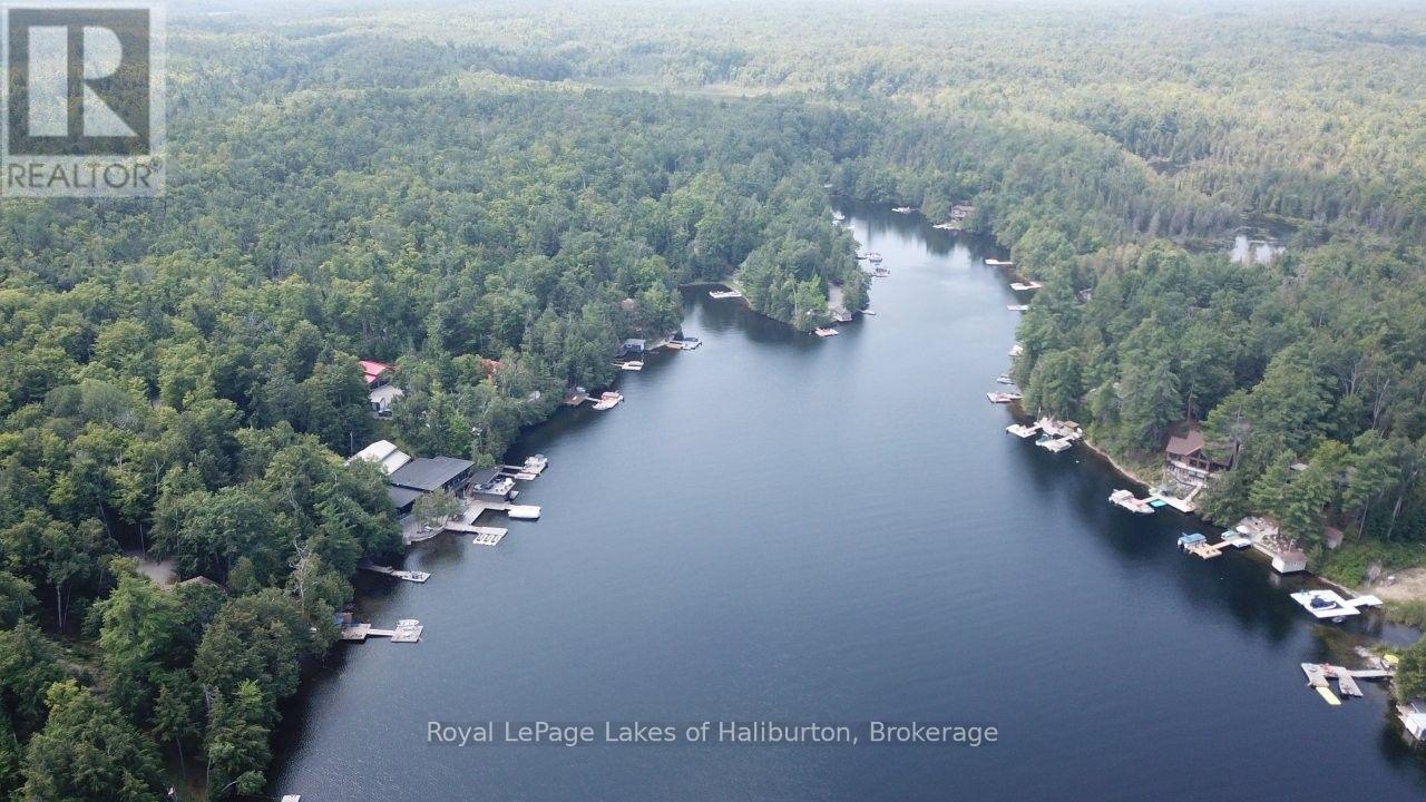 1601 Crystal Lake Road, Trent Lakes, Ontario  K0M 2A0 - Photo 15 - X13637186