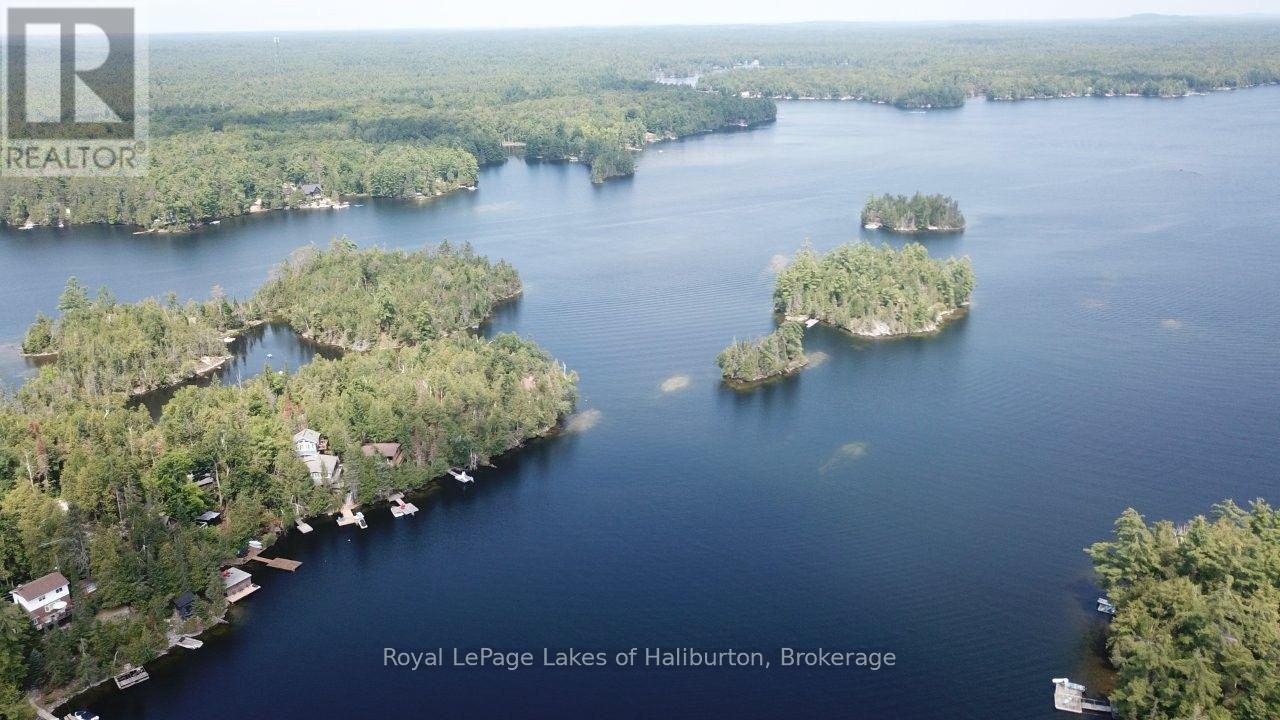 1601 Crystal Lake Road, Trent Lakes, Ontario  K0M 2A0 - Photo 16 - X13637186