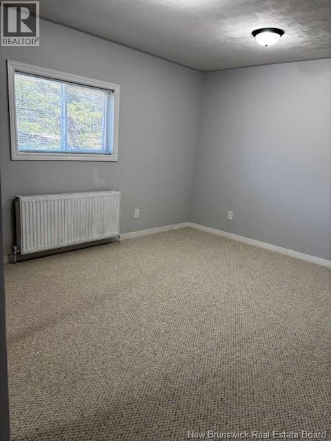 576 Drurys Cove Road, Ratter Corner, New Brunswick  E4E 3L2 - Photo 23 - NB136034