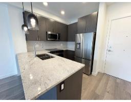 203 5504 BRYDON CRESCENT, Langley, British Columbia