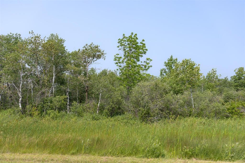 1 River 59n Road, Anola, Manitoba  R0E 0A0 - Photo 4 - 202616883