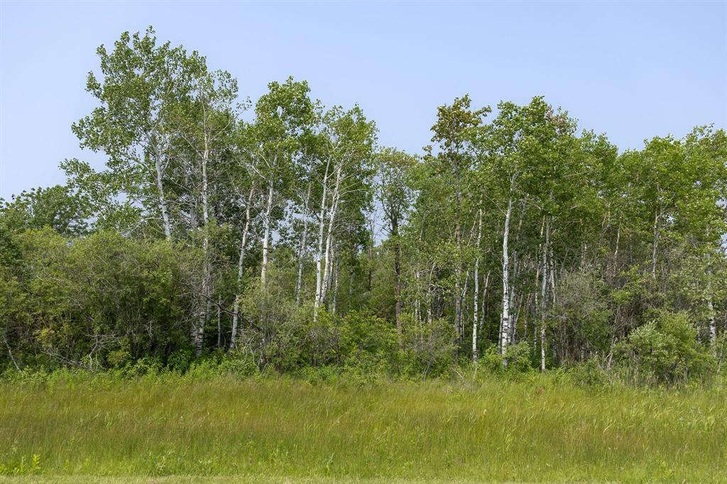 2 River 59n Road, Anola, Manitoba  R0E 0A0 - Photo 3 - 202618543