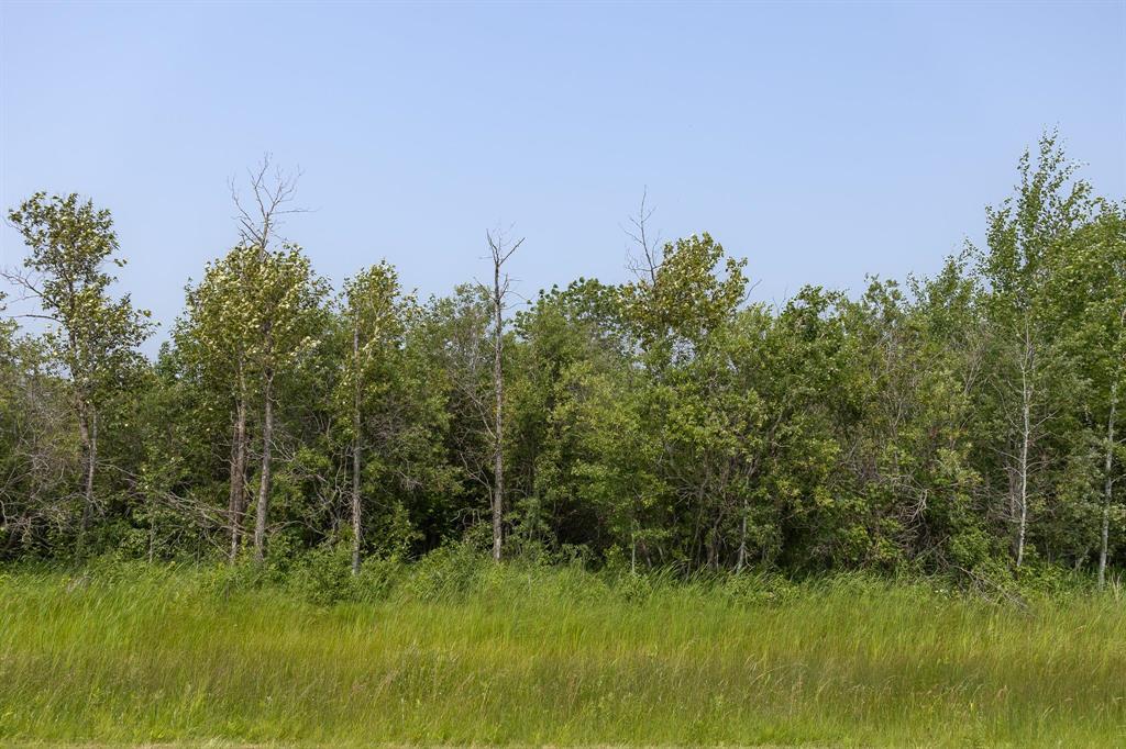 2 River 59n Road, Anola, Manitoba  R0E 0A0 - Photo 4 - 202618543