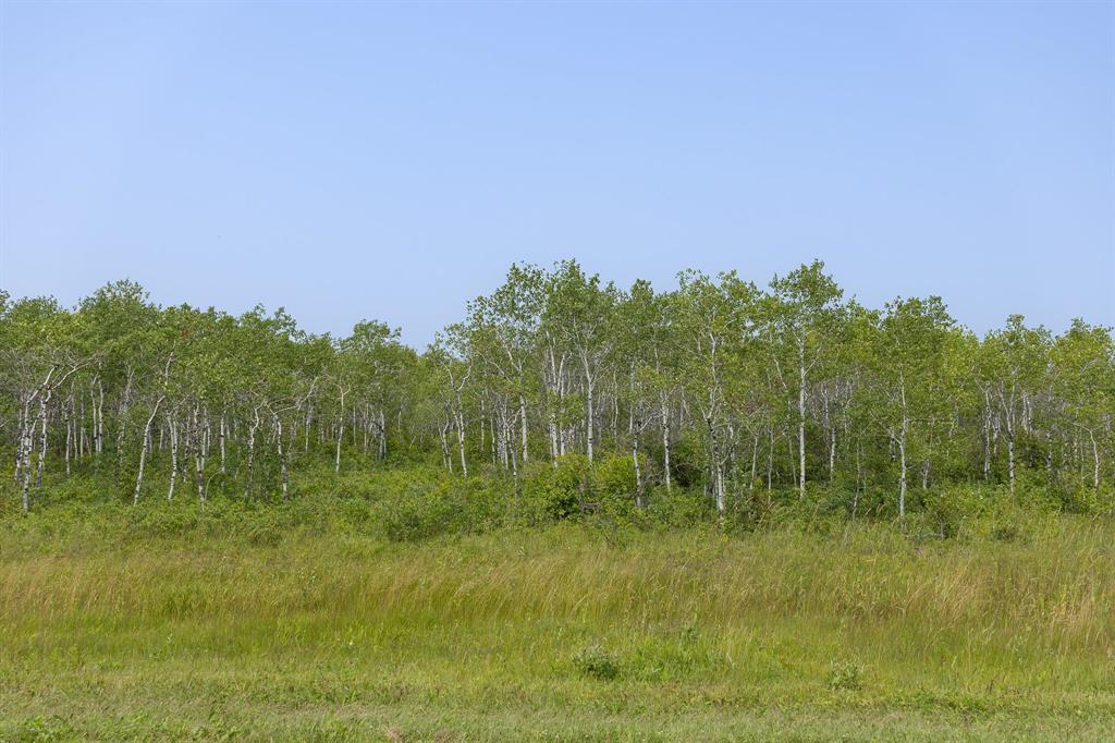 3 River 59n Road, Anola, Manitoba  R0E 0A0 - Photo 3 - 202618544