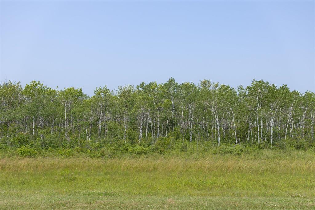 3 River 59n Road, Anola, Manitoba  R0E 0A0 - Photo 4 - 202618544