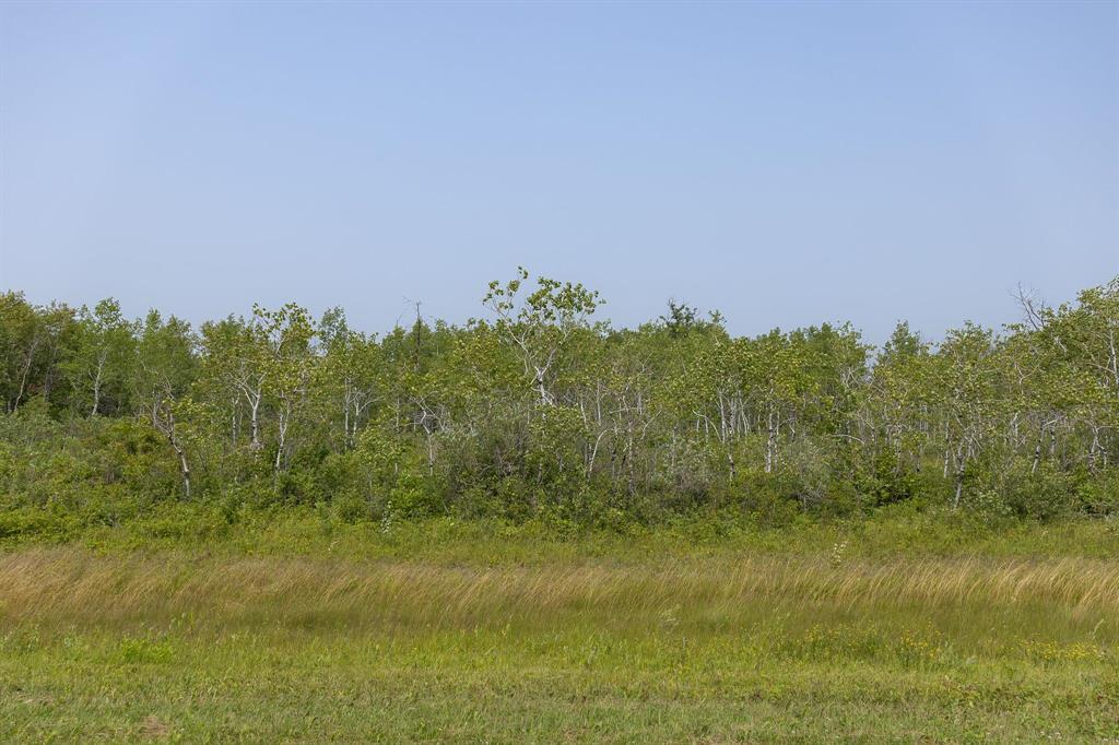 4 River 59n Road, Anola, Manitoba  R0E 0A0 - Photo 4 - 202618545