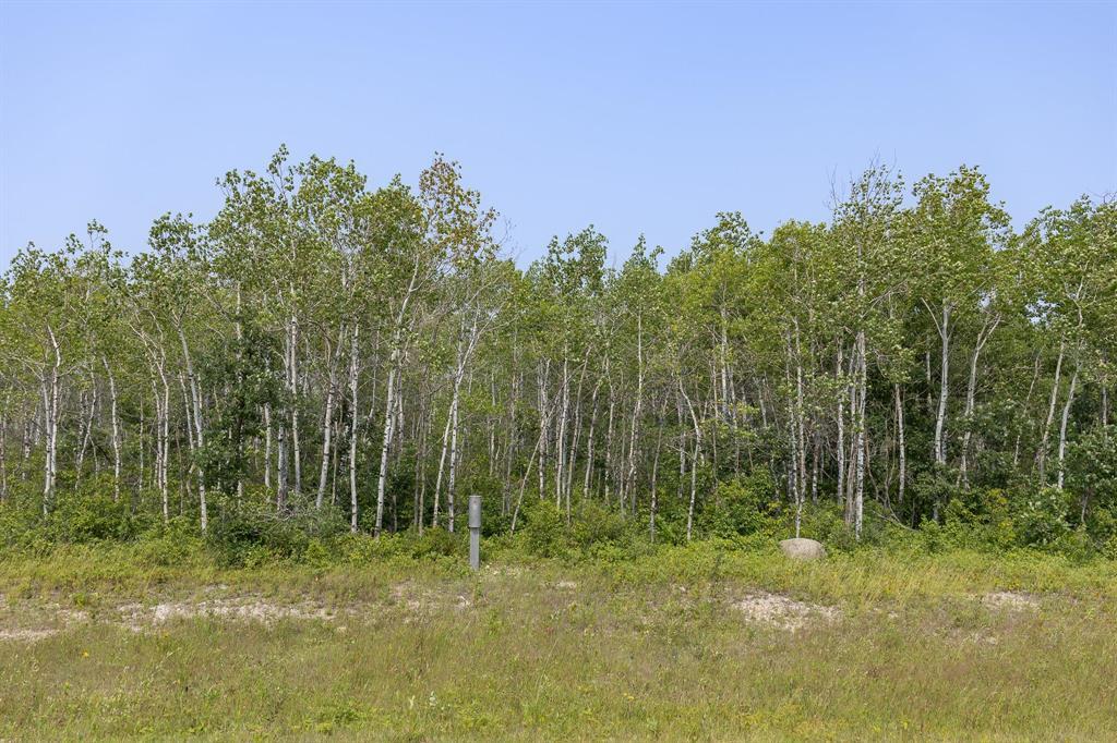 5 River 59n Road, Anola, Manitoba  R0E 0A0 - Photo 3 - 202618546