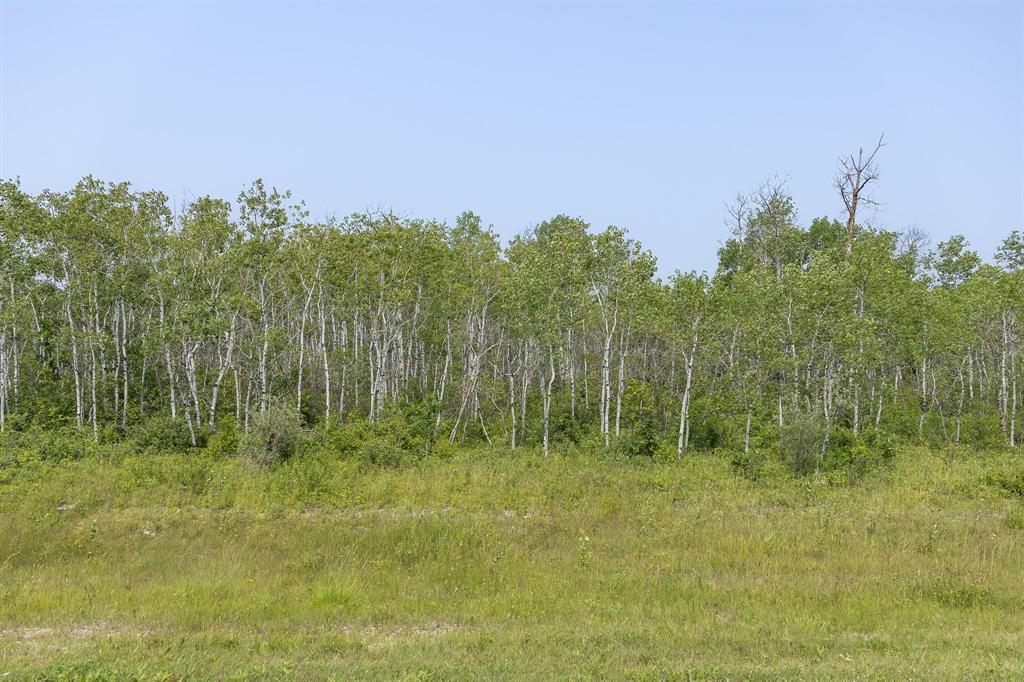 5 River 59n Road, Anola, Manitoba  R0E 0A0 - Photo 4 - 202618546