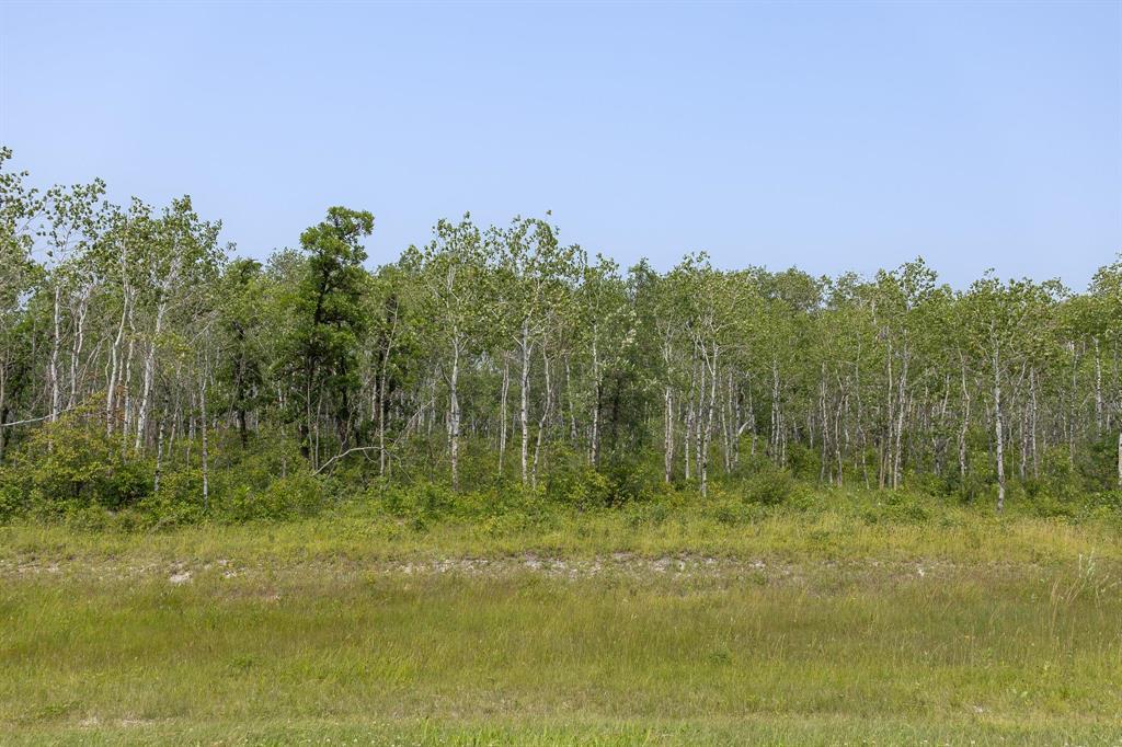 6 River 59n Road, Anola, Manitoba  R0E 0A0 - Photo 4 - 202618547