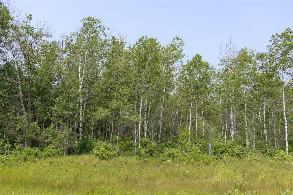 7 River 59n Road, Anola, Manitoba  R0E 0A0 - Photo 3 - 202618548