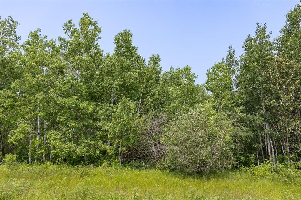 7 River 59n Road, Anola, Manitoba  R0E 0A0 - Photo 4 - 202618548