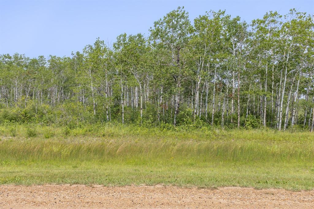 8 River 59n Road, Anola, Manitoba  R0E 0A0 - Photo 4 - 202618549
