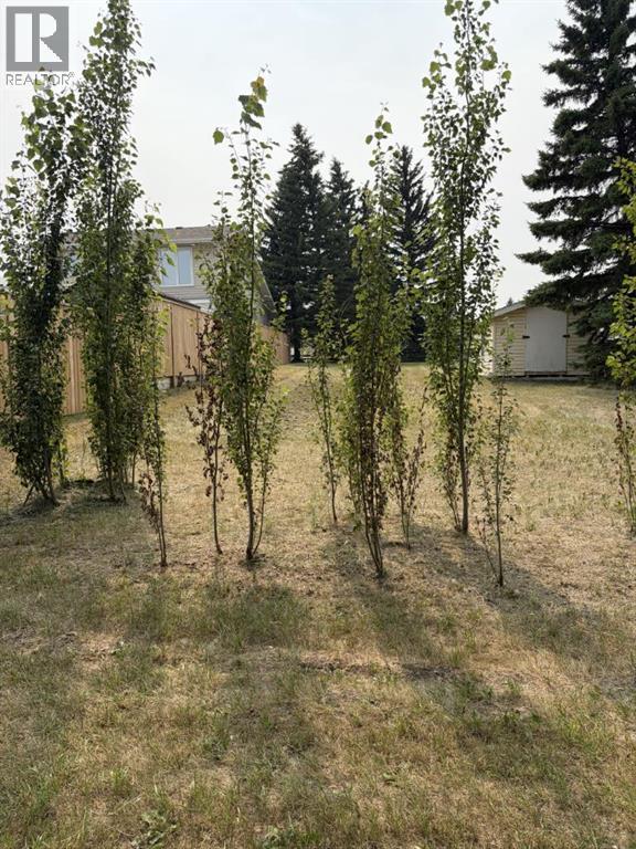 607 Madison Drive, Irricana, Alberta  T0M 1B0 - Photo 8 - A2334445
