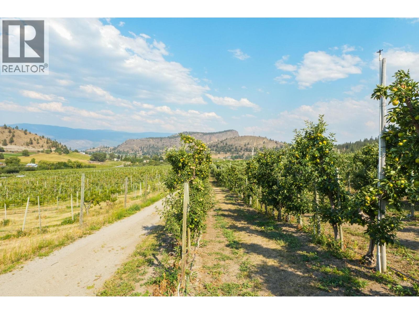picture 40