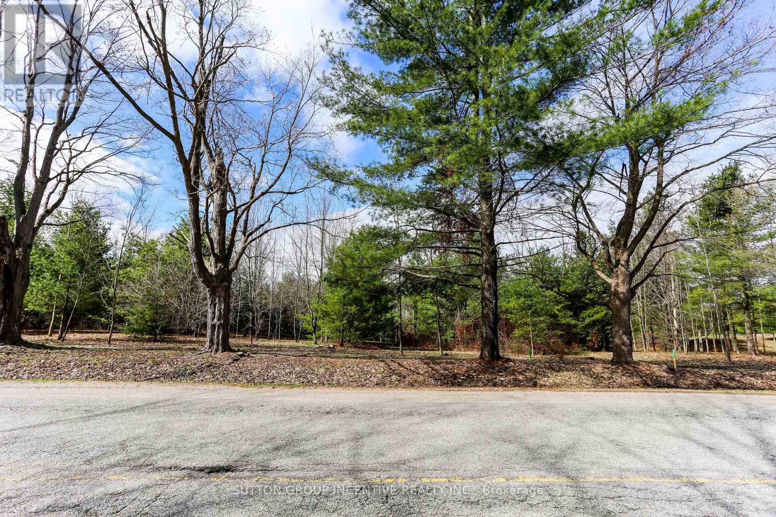 2790 Old Second Road S, Springwater, Ontario  L9X 1P6 - Photo 13 - S13637278