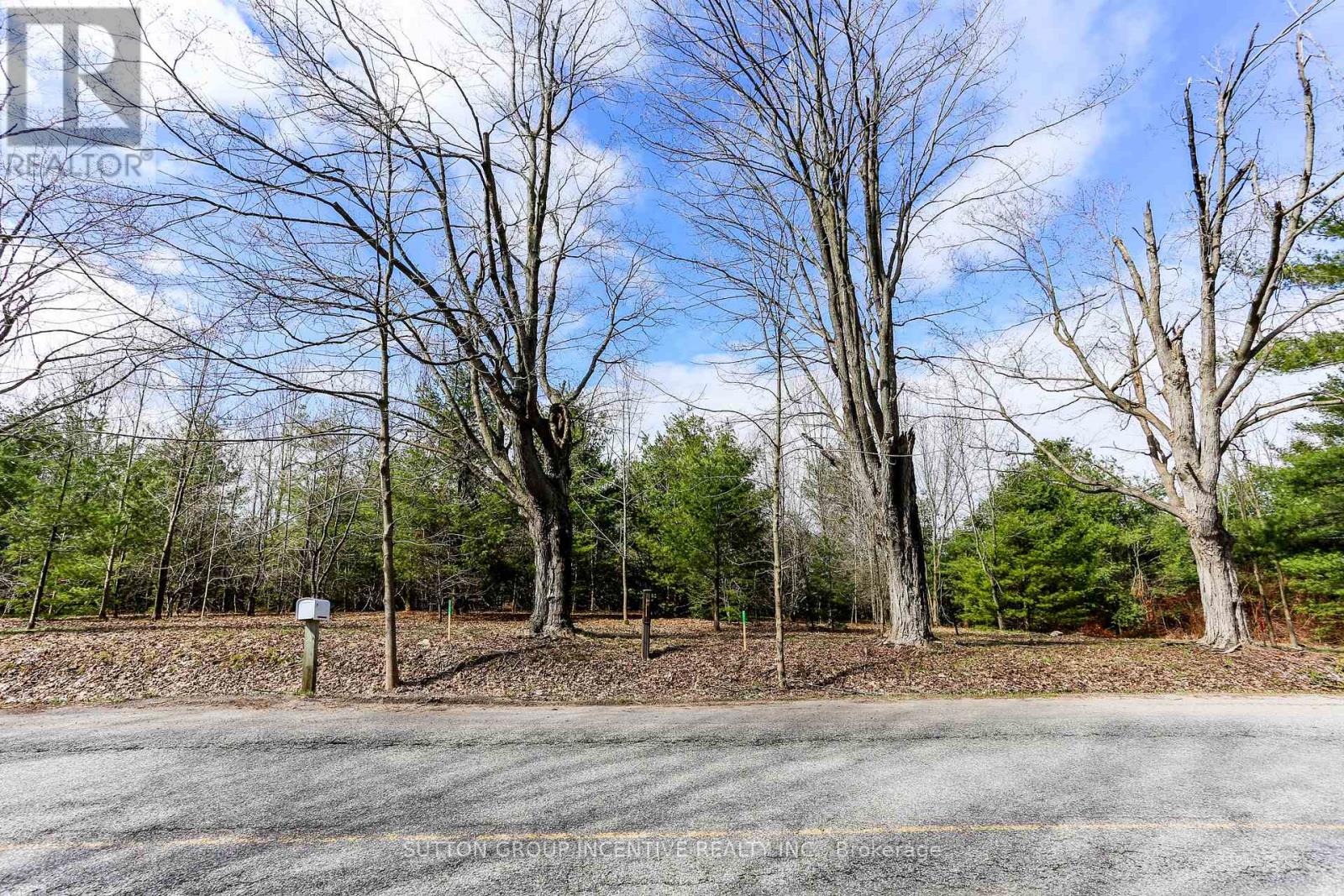 2790 Old Second Road S, Springwater, Ontario  L9X 1P6 - Photo 14 - S13637278
