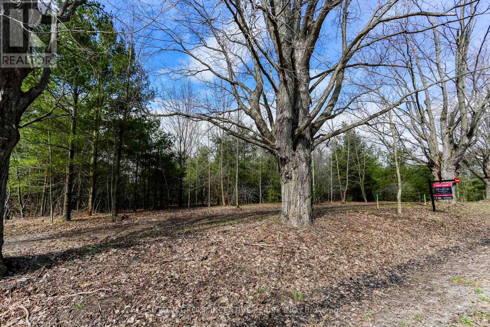 2790 Old Second Road S, Springwater, Ontario  L9X 1P6 - Photo 16 - S13637278