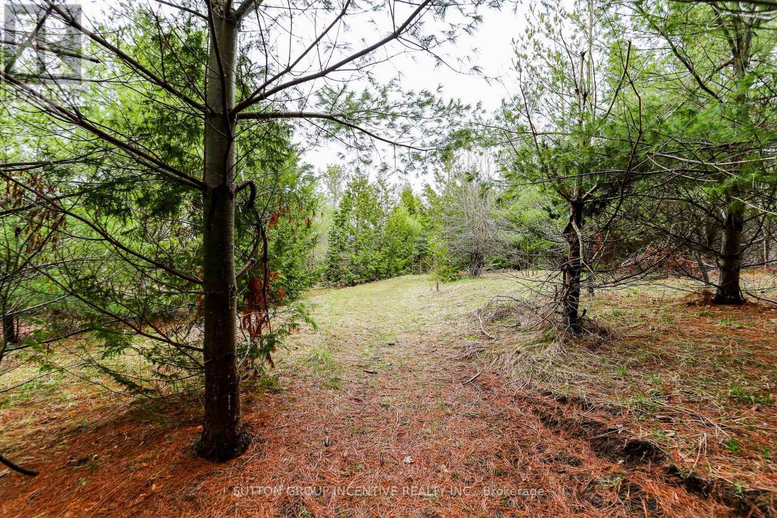 2790 Old Second Road S, Springwater, Ontario  L9X 1P6 - Photo 19 - S13637278