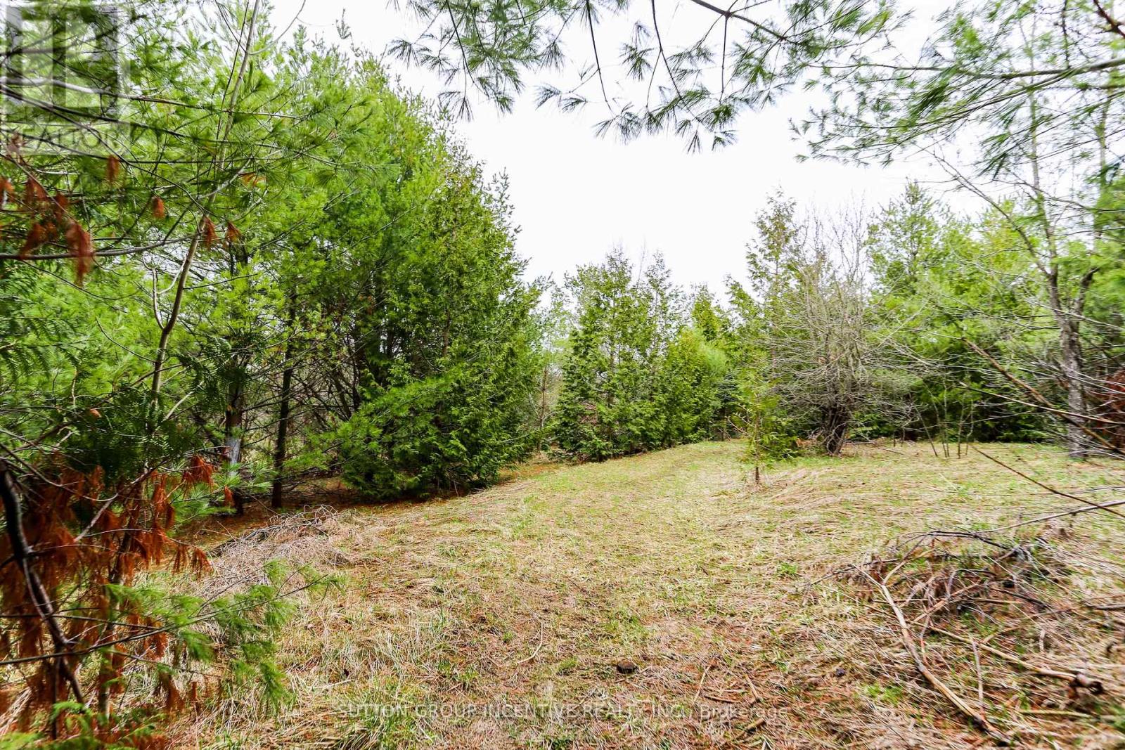 2790 Old Second Road S, Springwater, Ontario  L9X 1P6 - Photo 20 - S13637278