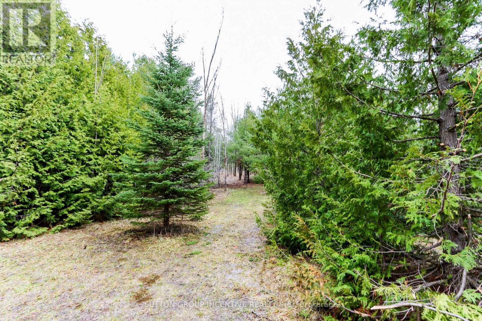 2790 Old Second Road S, Springwater, Ontario  L9X 1P6 - Photo 21 - S13637278