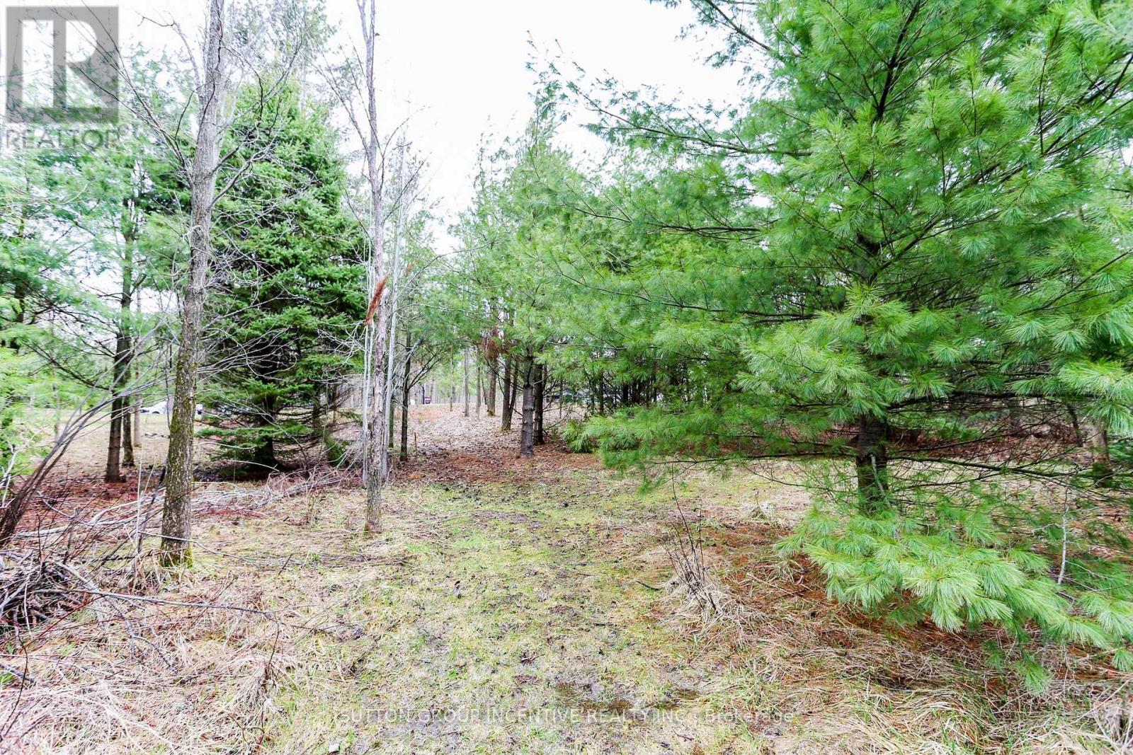 2790 Old Second Road S, Springwater, Ontario  L9X 1P6 - Photo 22 - S13637278