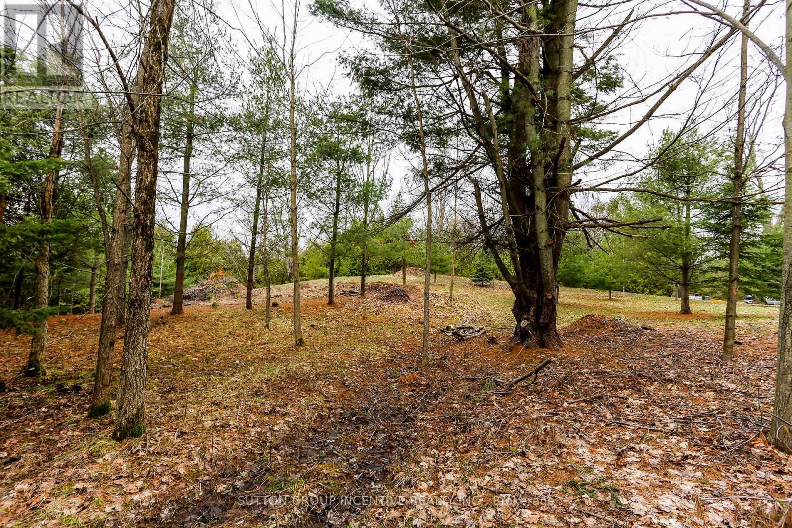 2790 Old Second Road S, Springwater, Ontario  L9X 1P6 - Photo 23 - S13637278