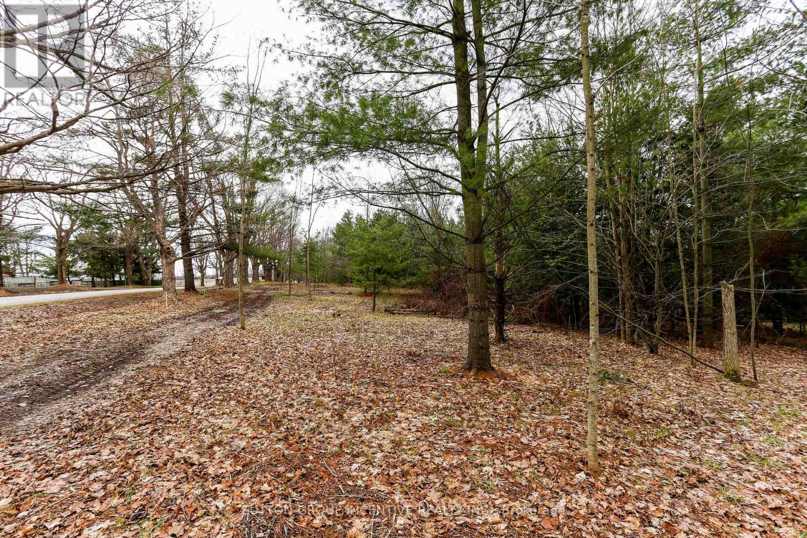 2790 Old Second Road S, Springwater, Ontario  L9X 1P6 - Photo 25 - S13637278