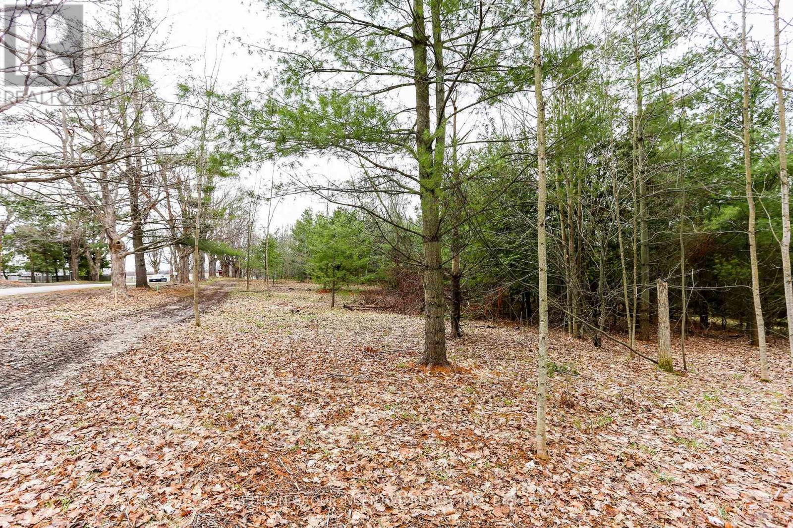 2790 Old Second Road S, Springwater, Ontario  L9X 1P6 - Photo 26 - S13637278