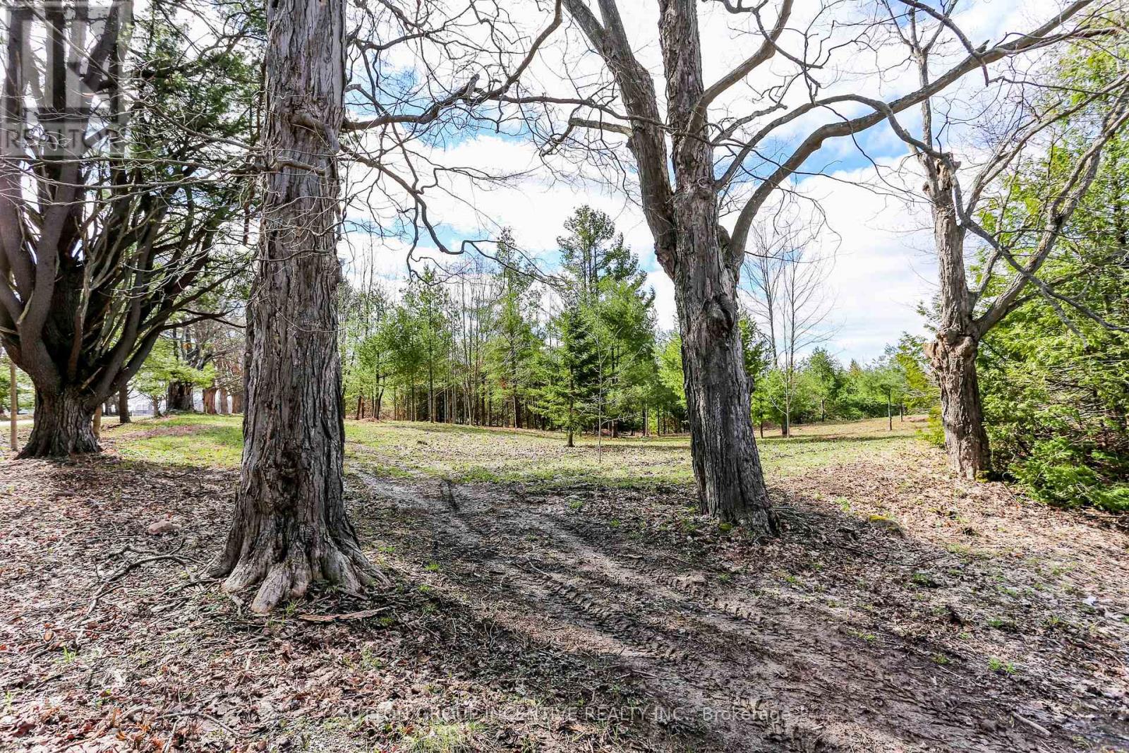2790 Old Second Road S, Springwater, Ontario  L9X 1P6 - Photo 4 - S13637278