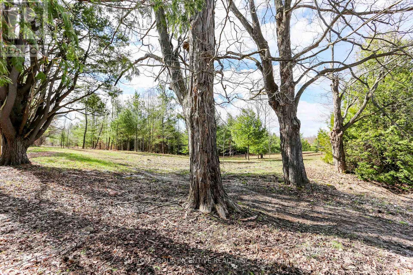 2790 Old Second Road S, Springwater, Ontario  L9X 1P6 - Photo 6 - S13637278