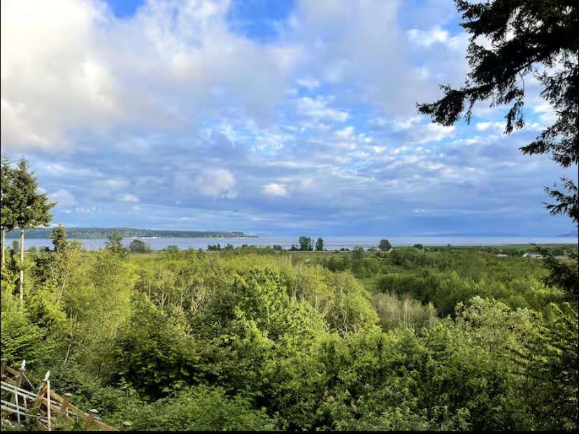 12218 53 Avenue, Surrey, British Columbia  V3X 3B7 - Photo 35 - R3137732