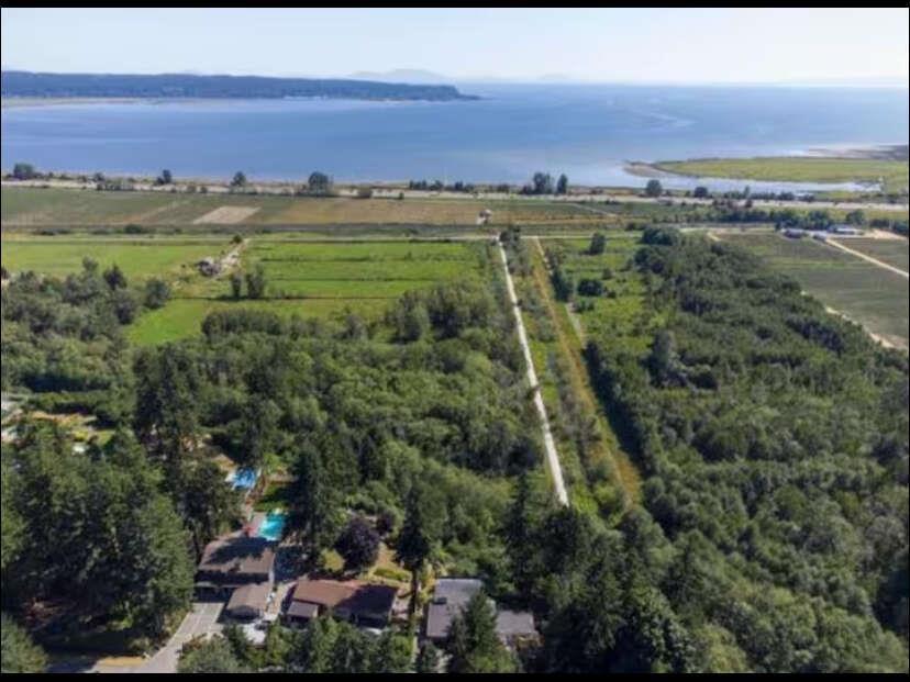 12218 53 Avenue, Surrey, British Columbia  V3X 3B7 - Photo 31 - R3137732
