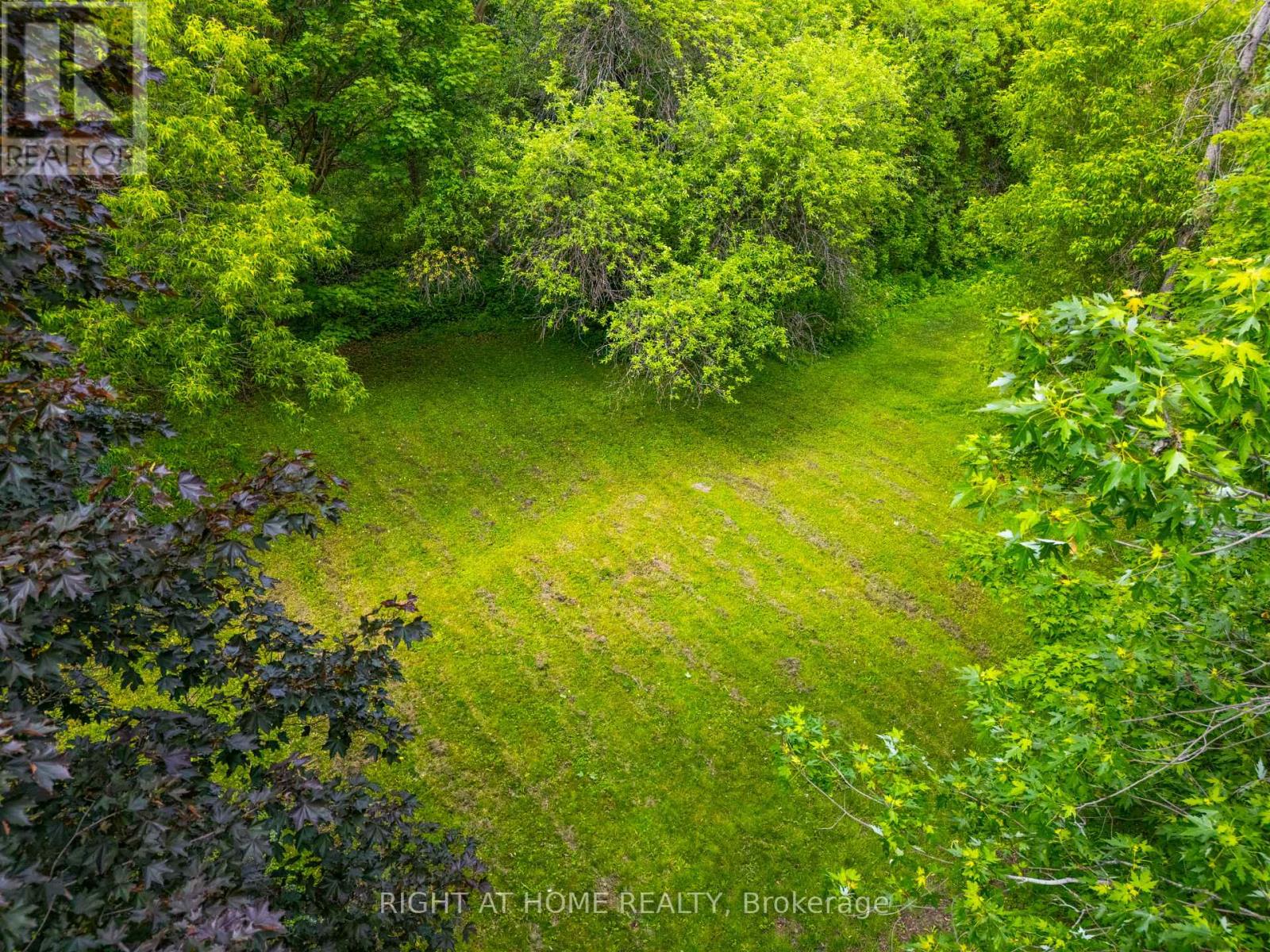 735 Srigley Street, Newmarket, Ontario L3Y 1X6 - Photo 22 - N13243628