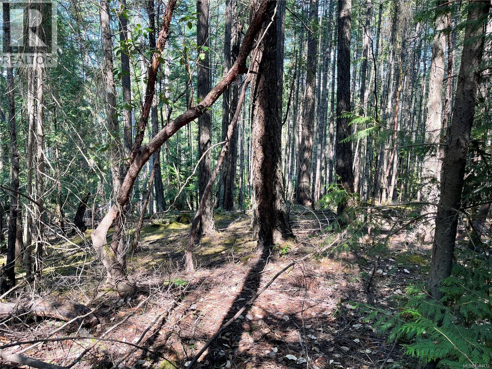 Lot 30 View Ridge Rd, Mudge Island, British Columbia  V0R 1X0 - Photo 4 - 1044422