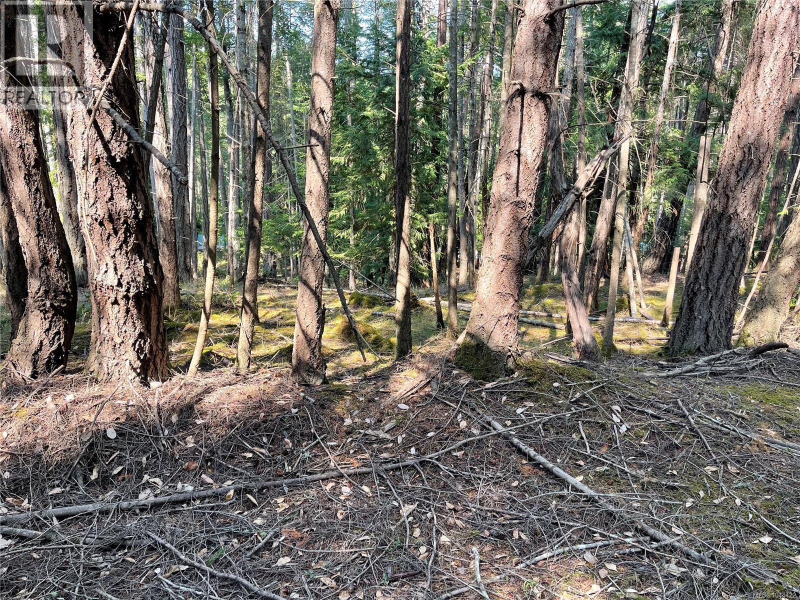 Lot 30 View Ridge Rd, Mudge Island, British Columbia  V0R 1X0 - Photo 3 - 1044422