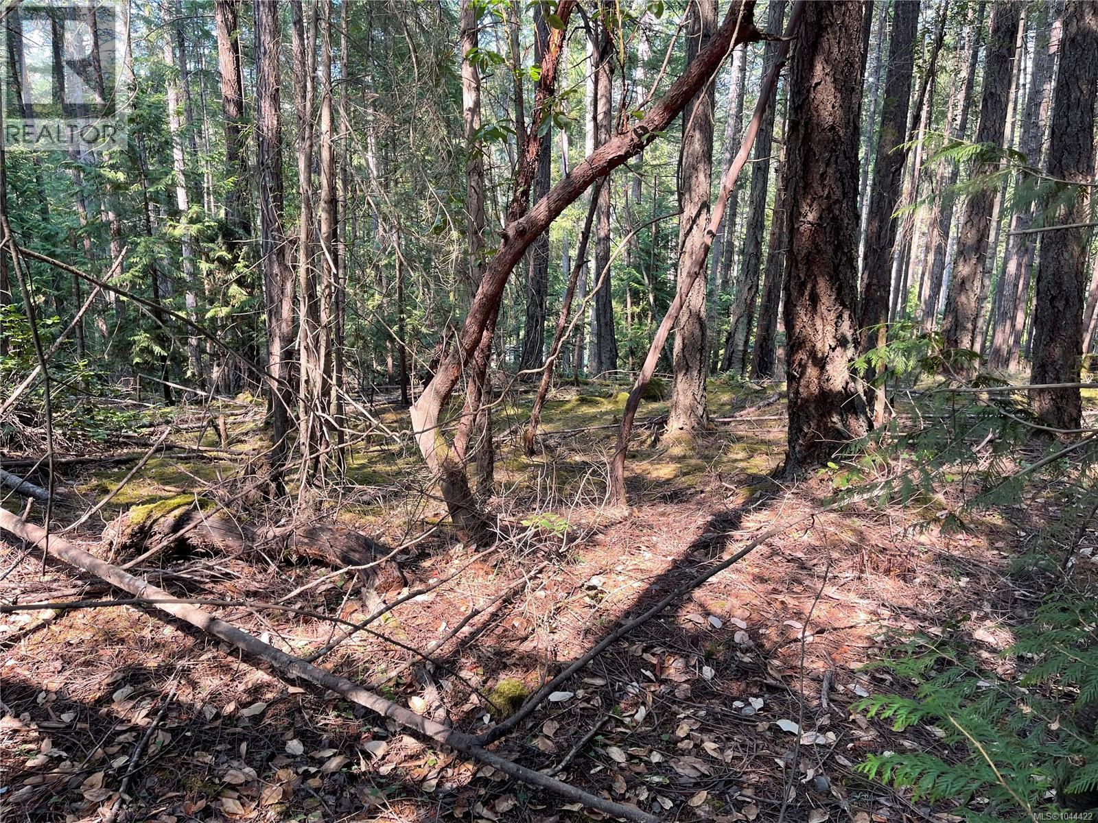 Lot 30 View Ridge Rd, Mudge Island, British Columbia  V0R 1X0 - Photo 11 - 1044422