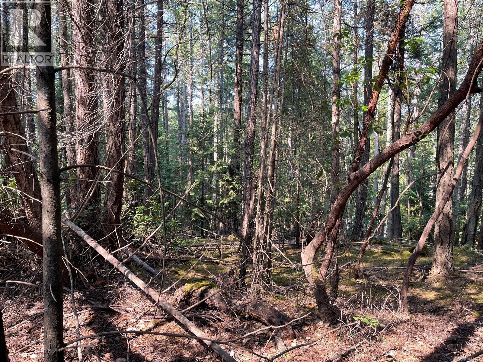 Lot 30 View Ridge Rd, Mudge Island, British Columbia  V0R 1X0 - Photo 12 - 1044422