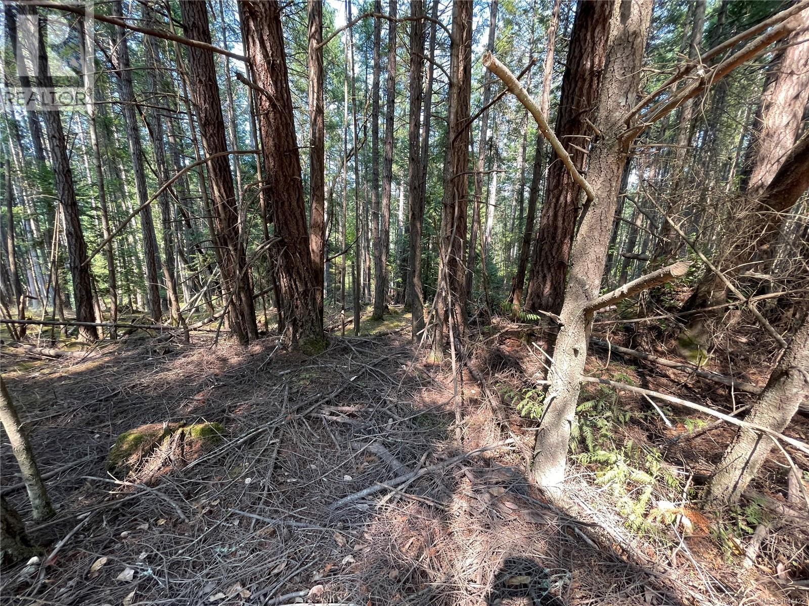 Lot 30 View Ridge Rd, Mudge Island, British Columbia  V0R 1X0 - Photo 14 - 1044422